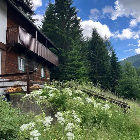 Nockstern Huette Ebene Reichenau
