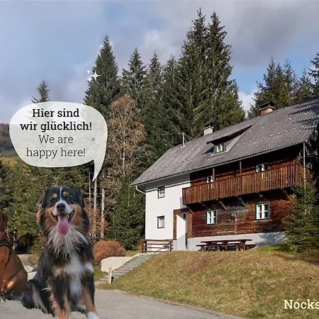 Holiday home Nockstern Huette Ebene Reichenau
